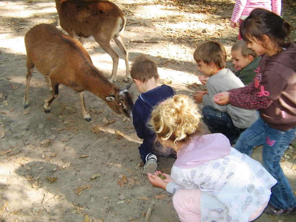 Budakeszi Vadaspark 021