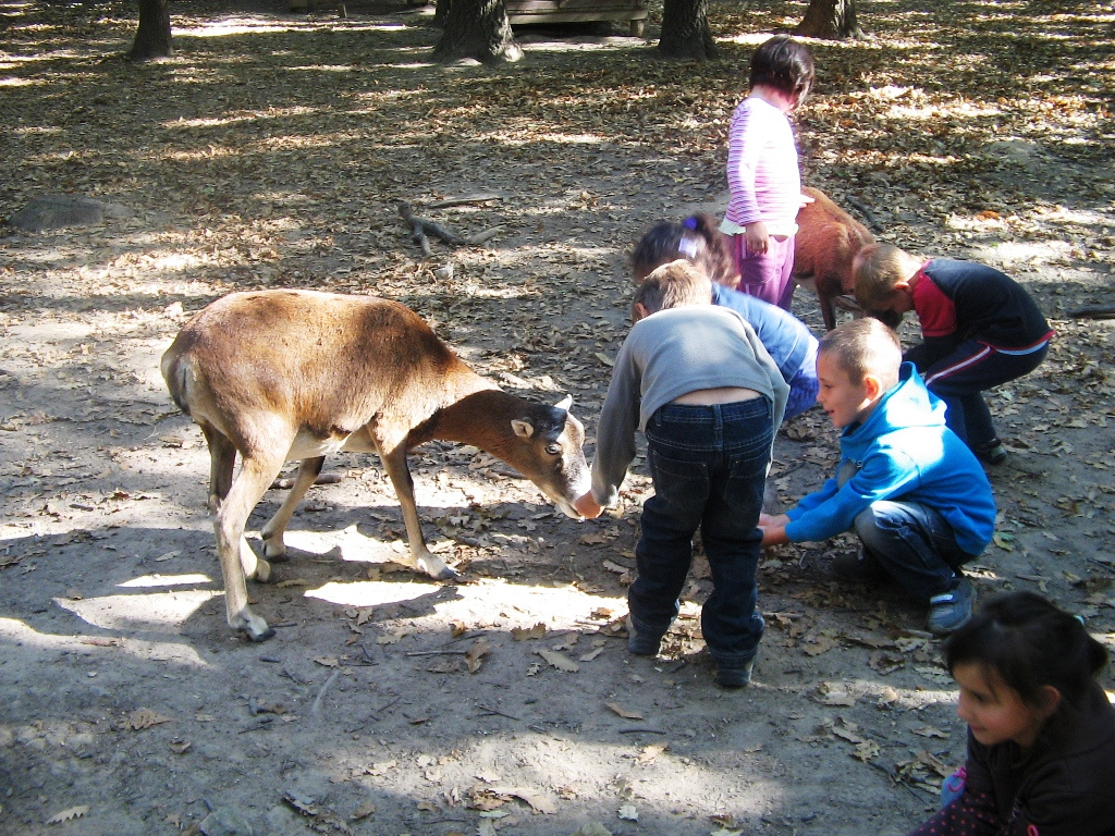 Budakeszi Vadaspark 022