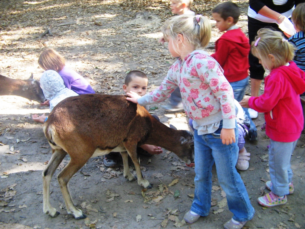 Budakeszi Vadaspark 029