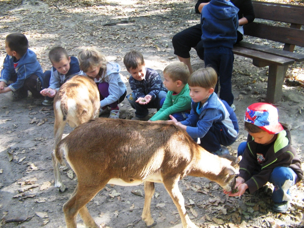 Budakeszi Vadaspark 040