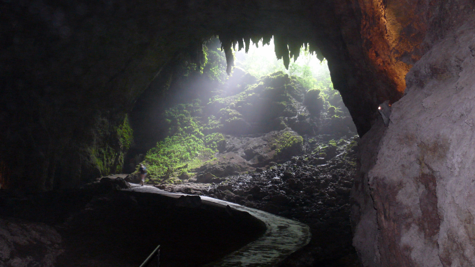 Rio Camuy cseppkőbarlang kijárata
