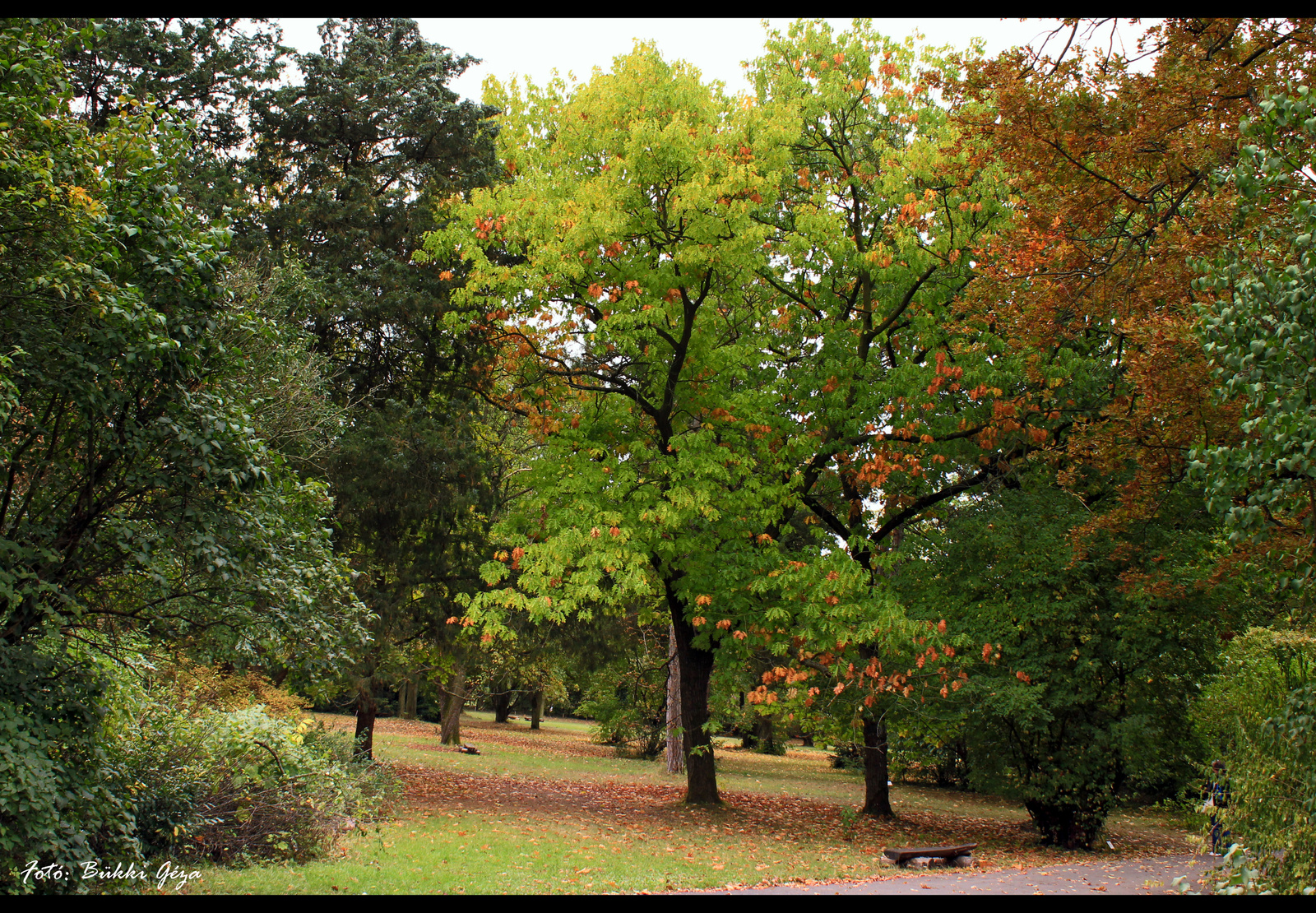 Arborétumi ősz 2