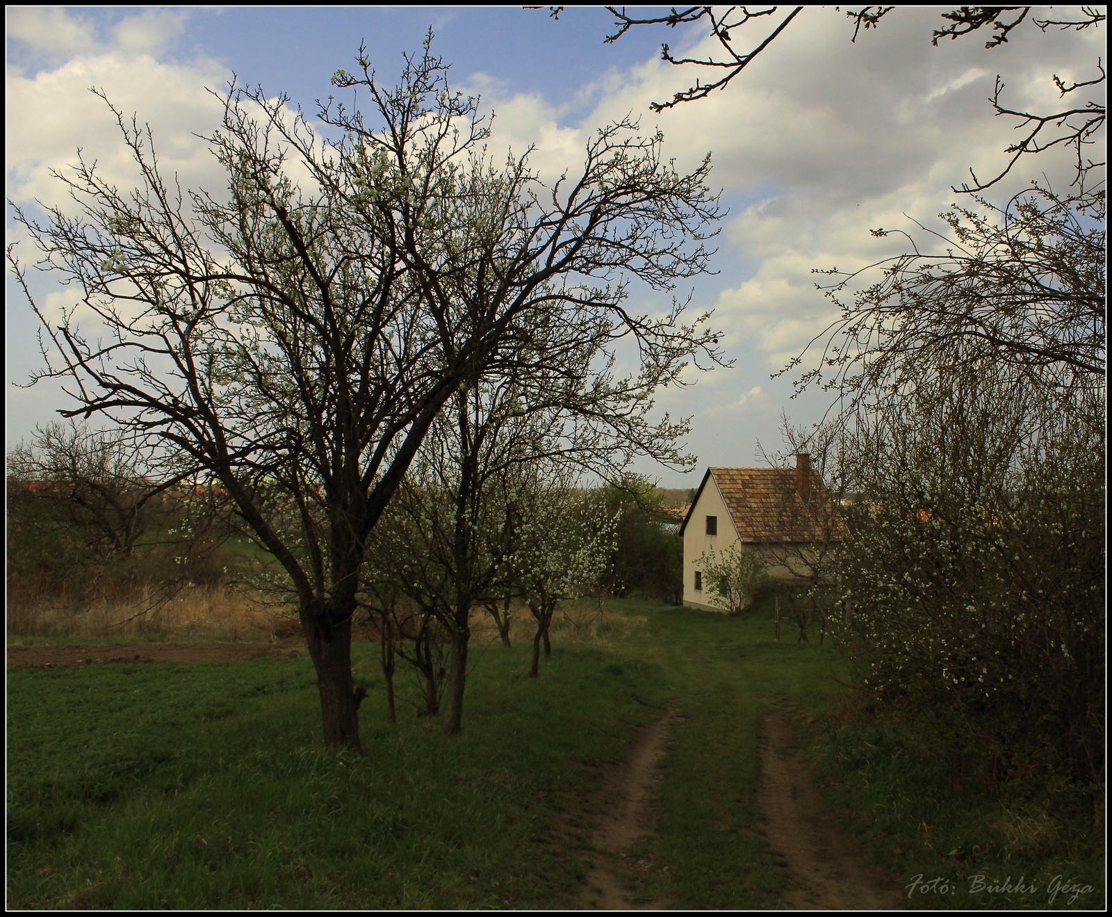 Dűlőút