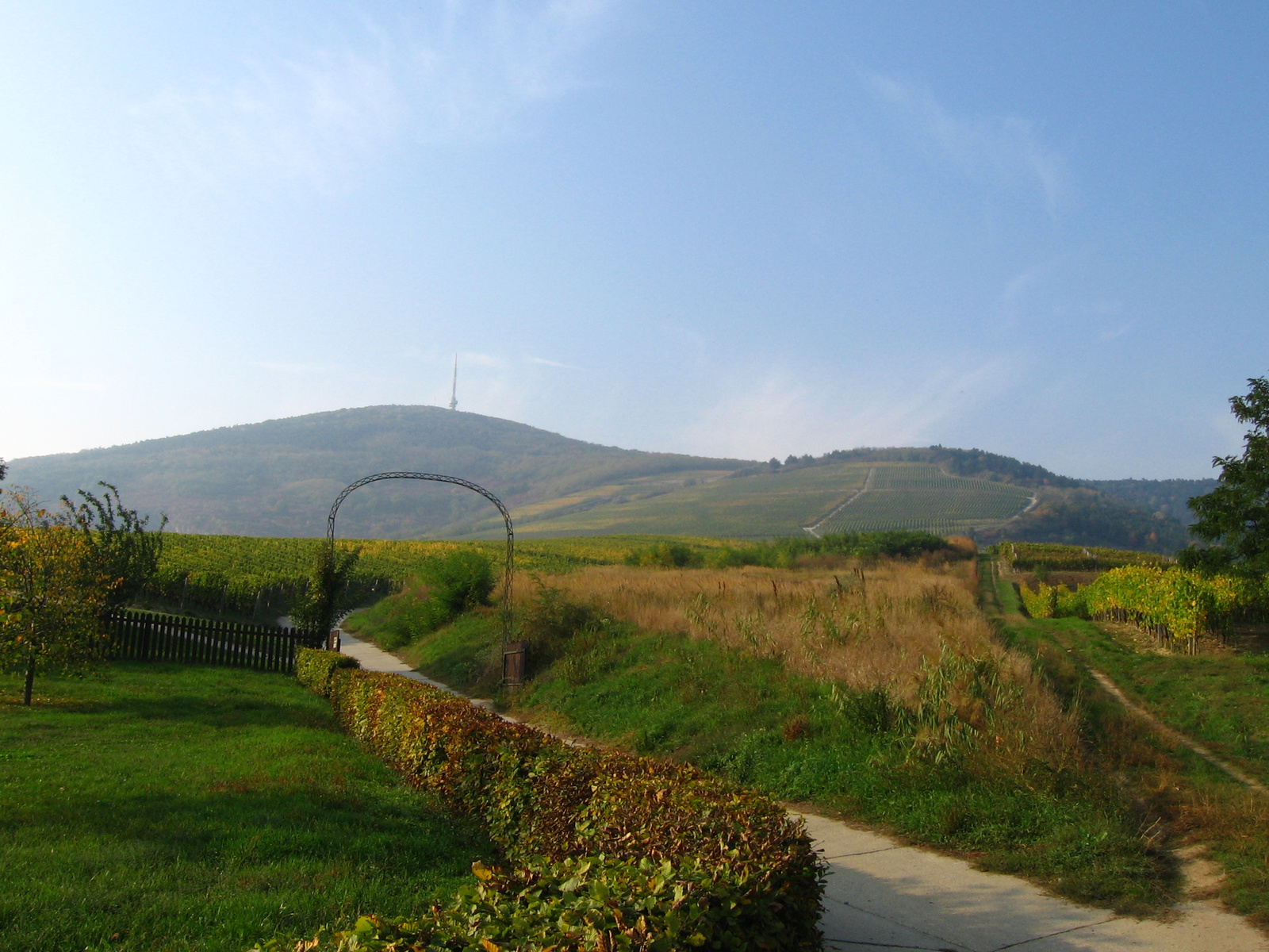 Tokaj