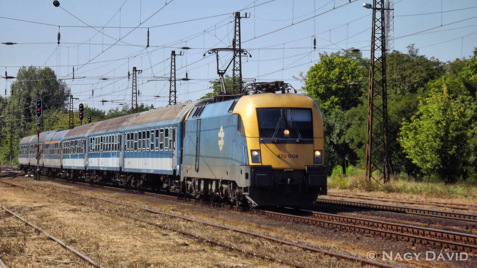 470 004, Hort-Csány, 2013.09.07