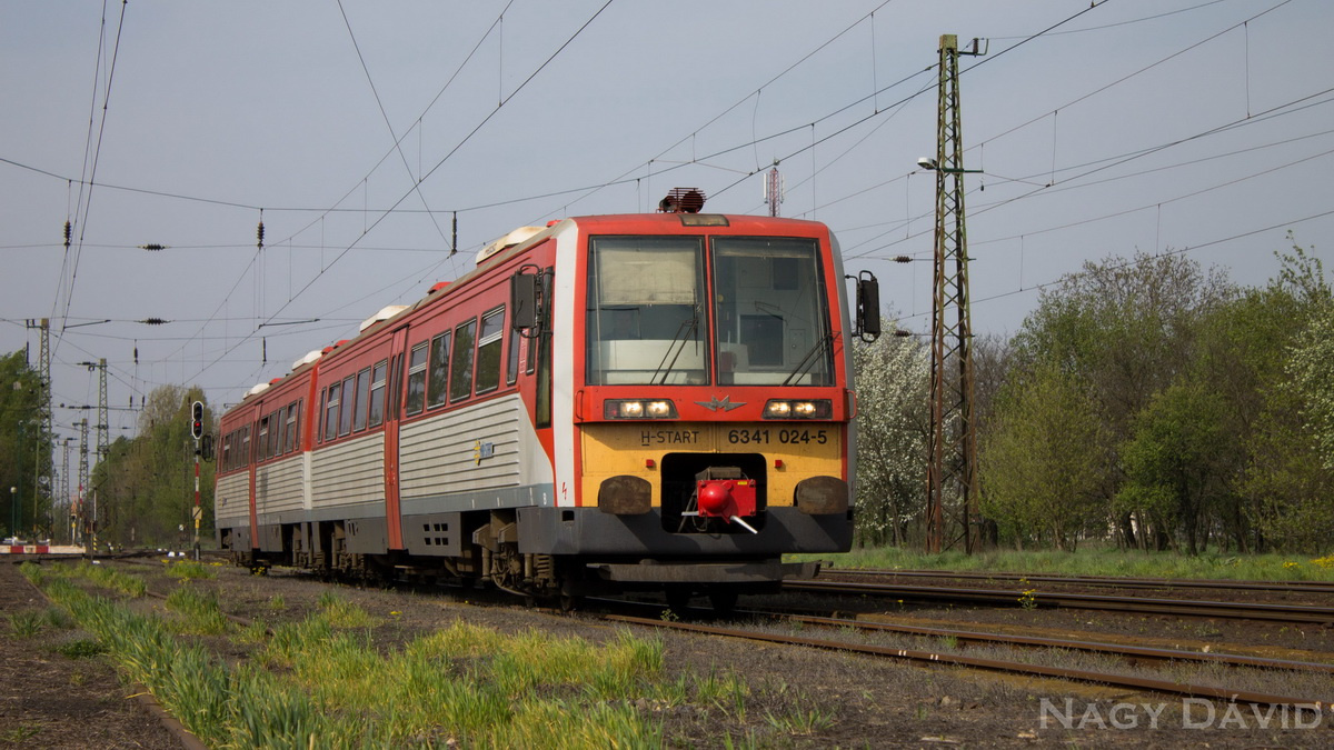 6341 024, Hort-Csány, 2014.04.05.