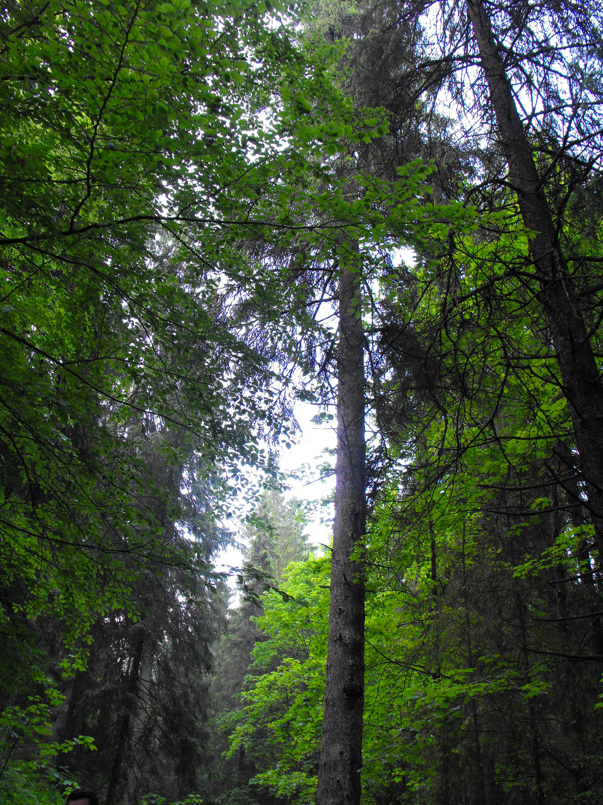 Szlovakia2012 100