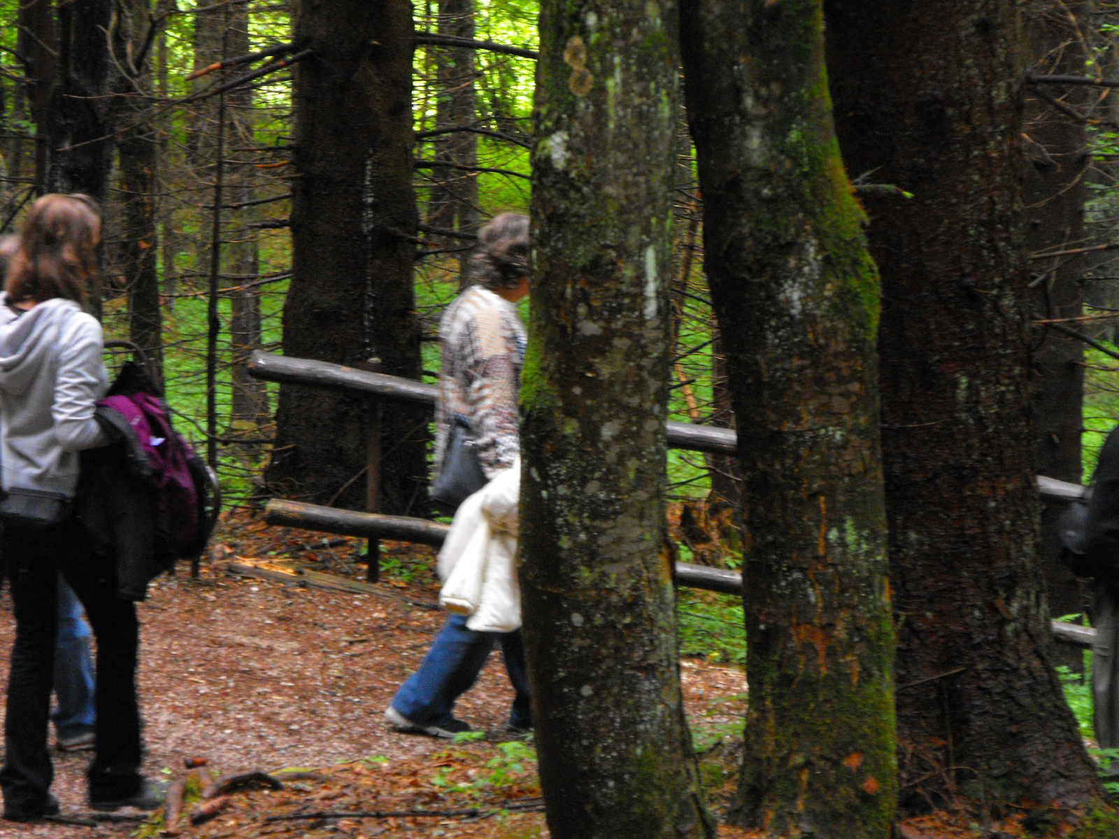 Szlovakia2012 116