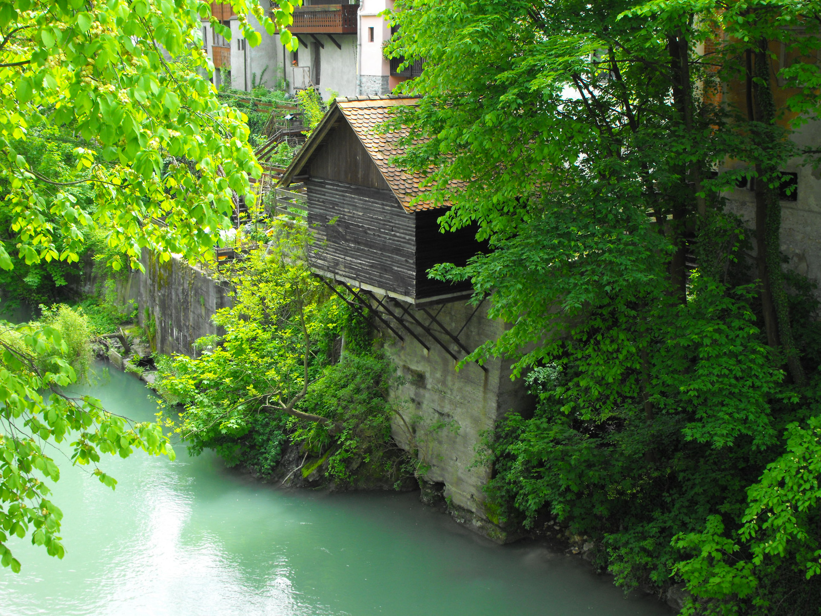 2010 0506 Slovenia 0436