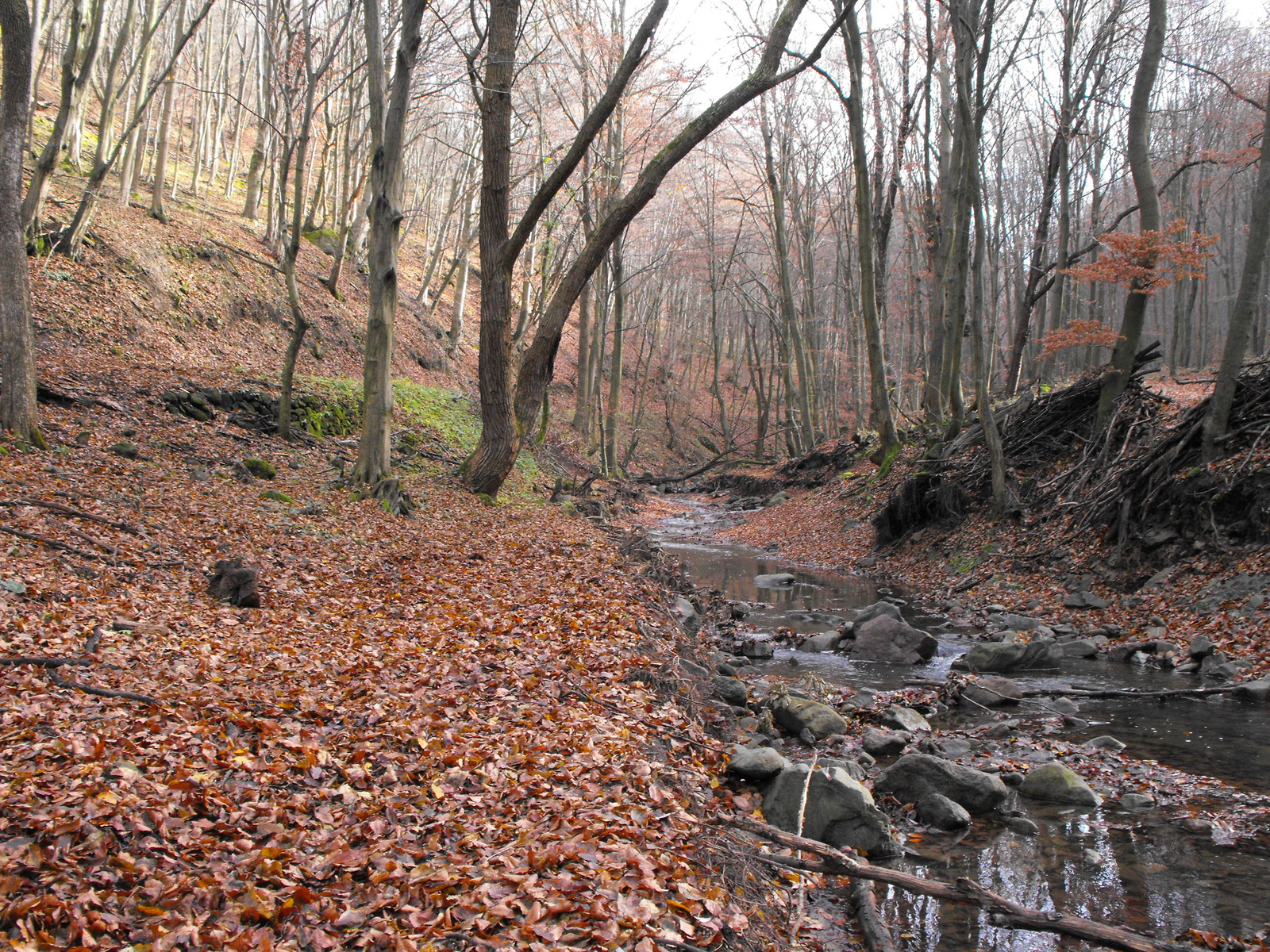 2010 1113 Visegrad 0016