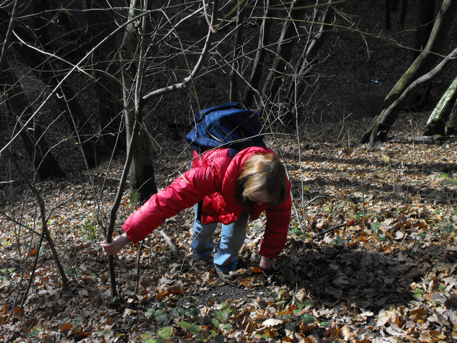 2010 1113 Visegrad 0025