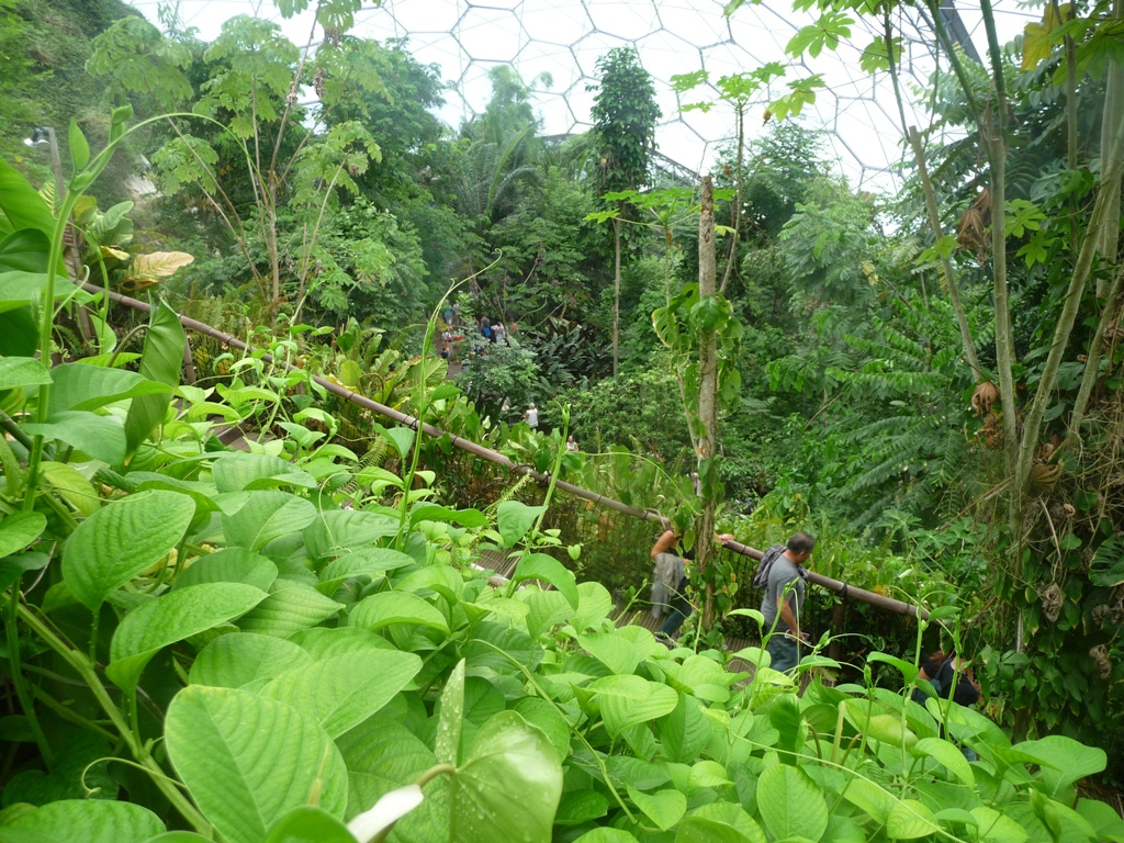 Eden Project-14