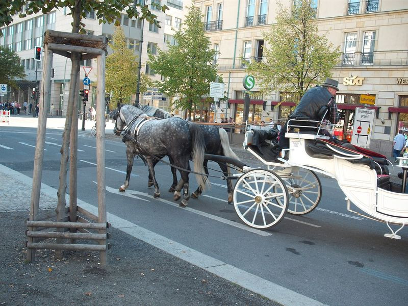 Berlin Unter den Linden 007