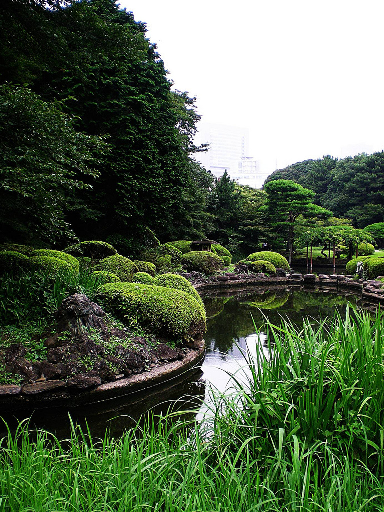 japanese garden