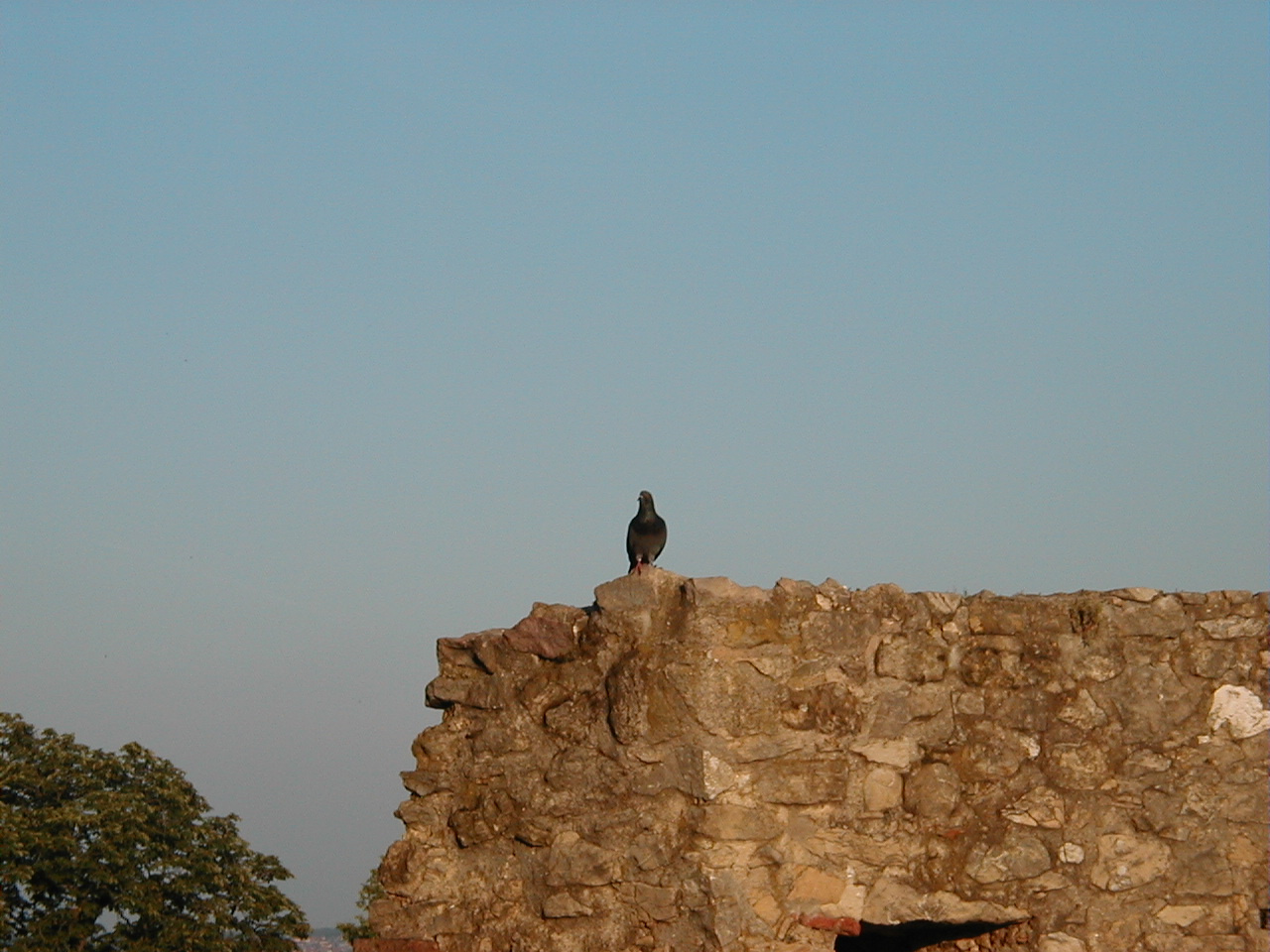 2010.06.12.10.g Pécs.oszt.kir 017