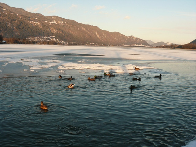 Bodensdorf Ossiachersee