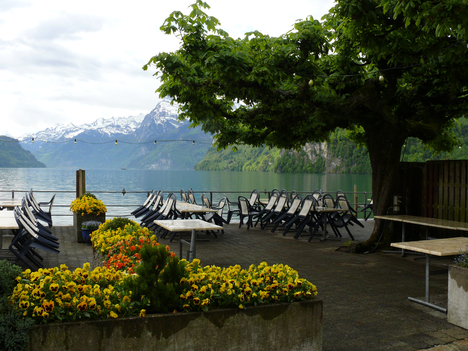 Herzlich Willkommen im Seehotel Waldstätterhof Brunnen