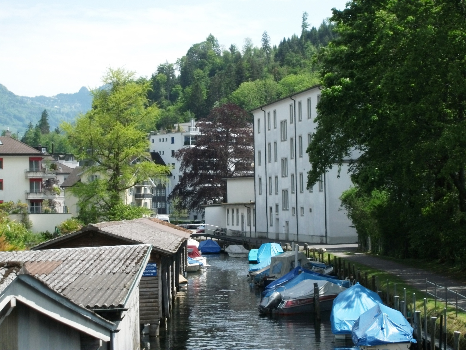 lake luzern 008