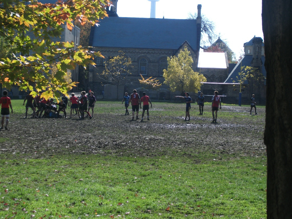 torontó university 077