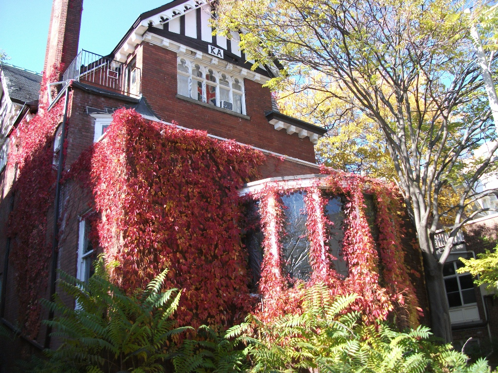 torontó university 087