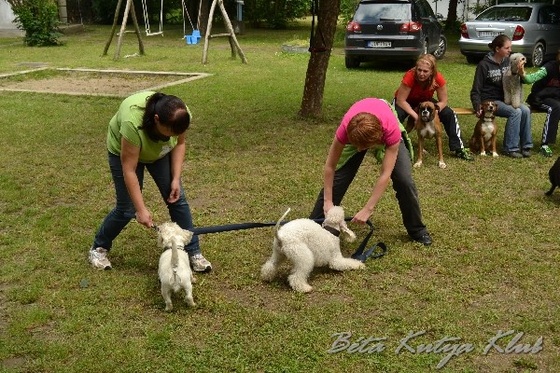 BKK tabor 2013 0245