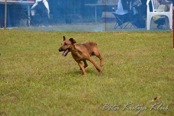 BKK tabor 2013 1970