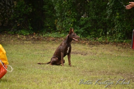 BKK tabor 2013 3020