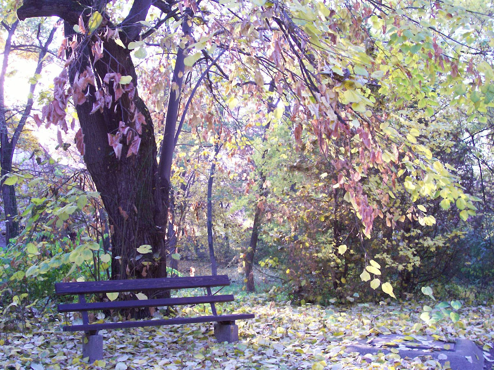 Most múlik pontosan (ősz, 2011.) 035