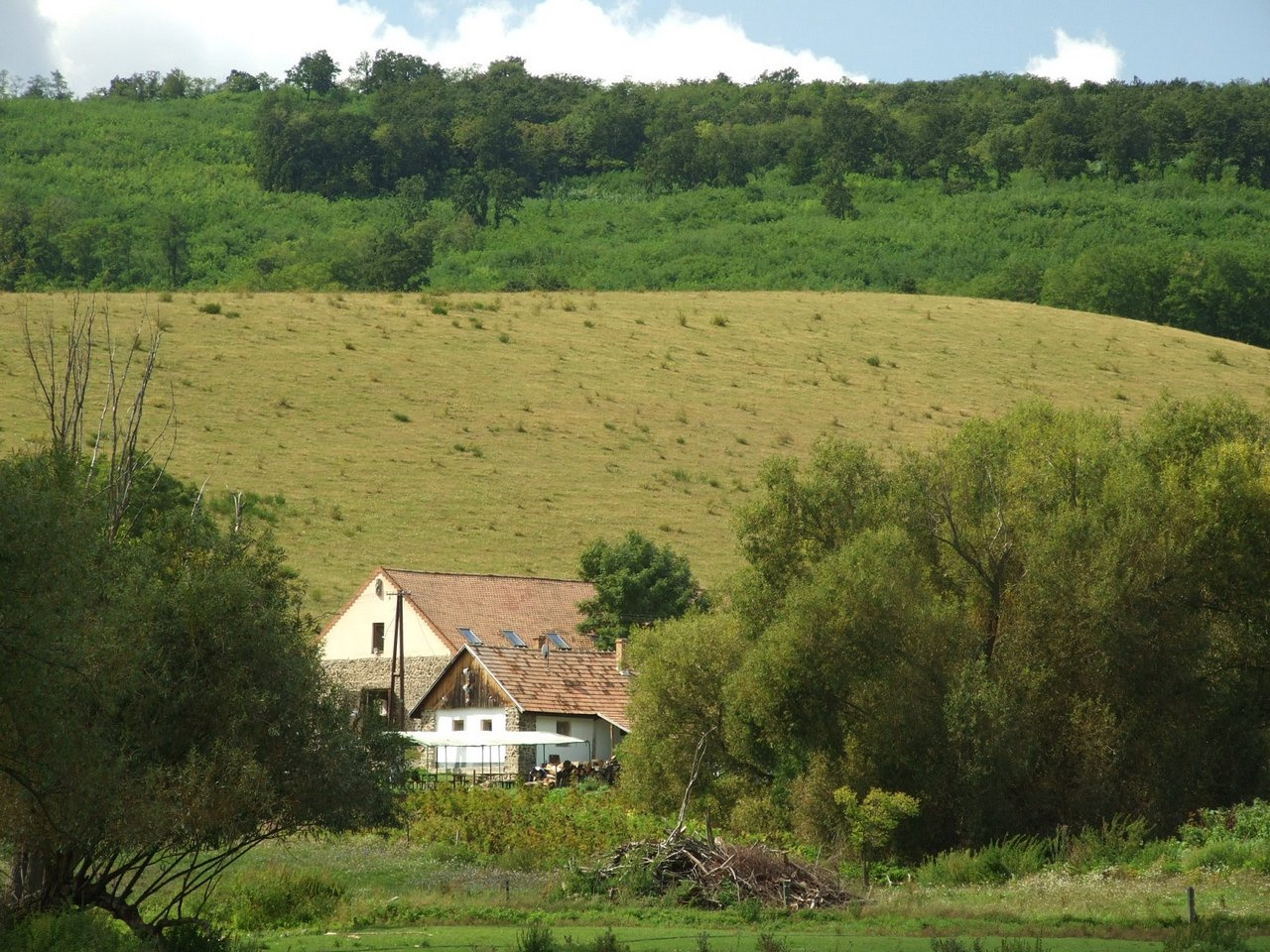 Keszthelyi T emlektura 38