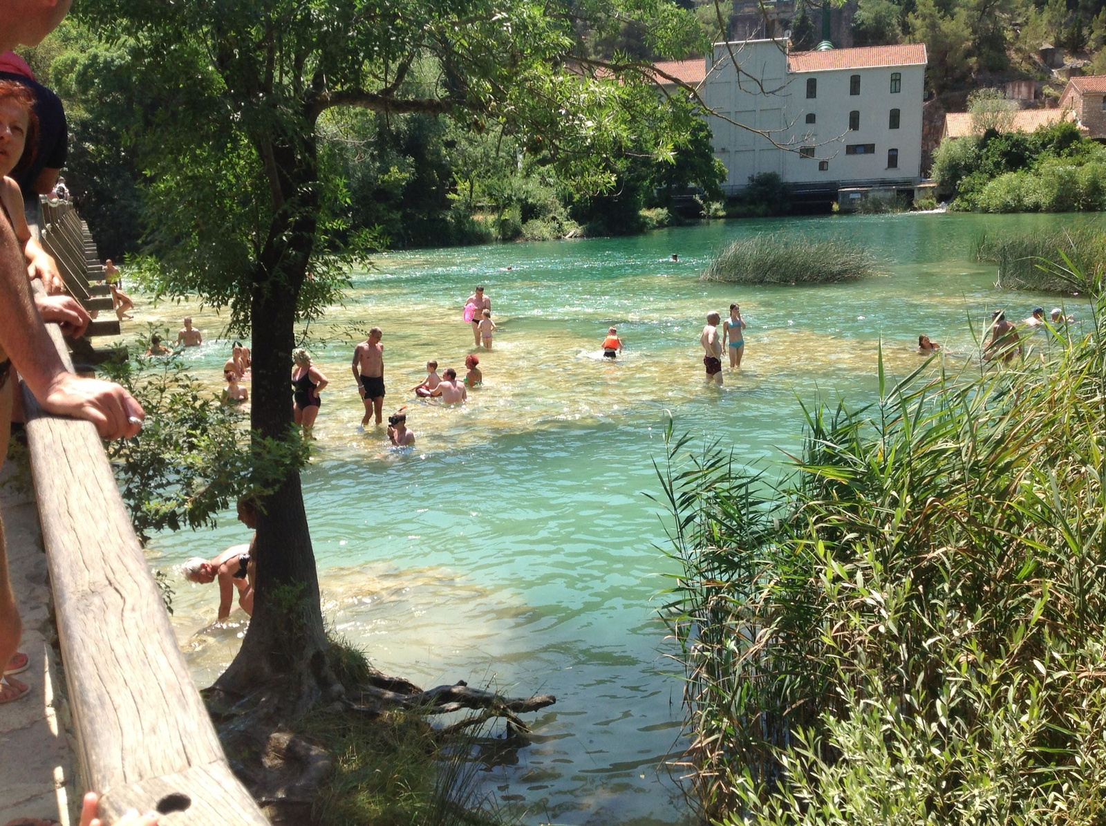 Krka