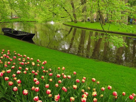 Keukenhof 2010.04.30 052