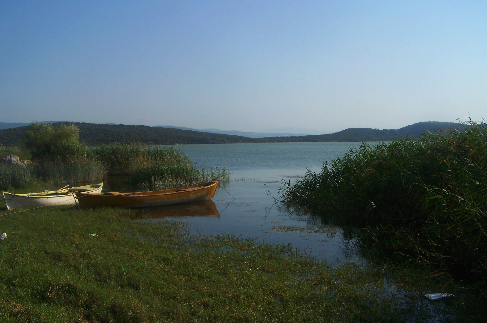 Csendélet