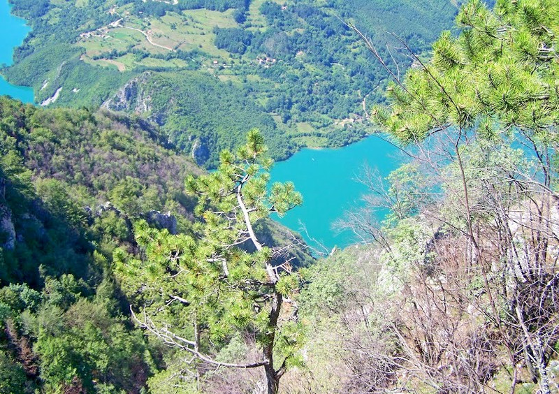 Tara nemzeti park