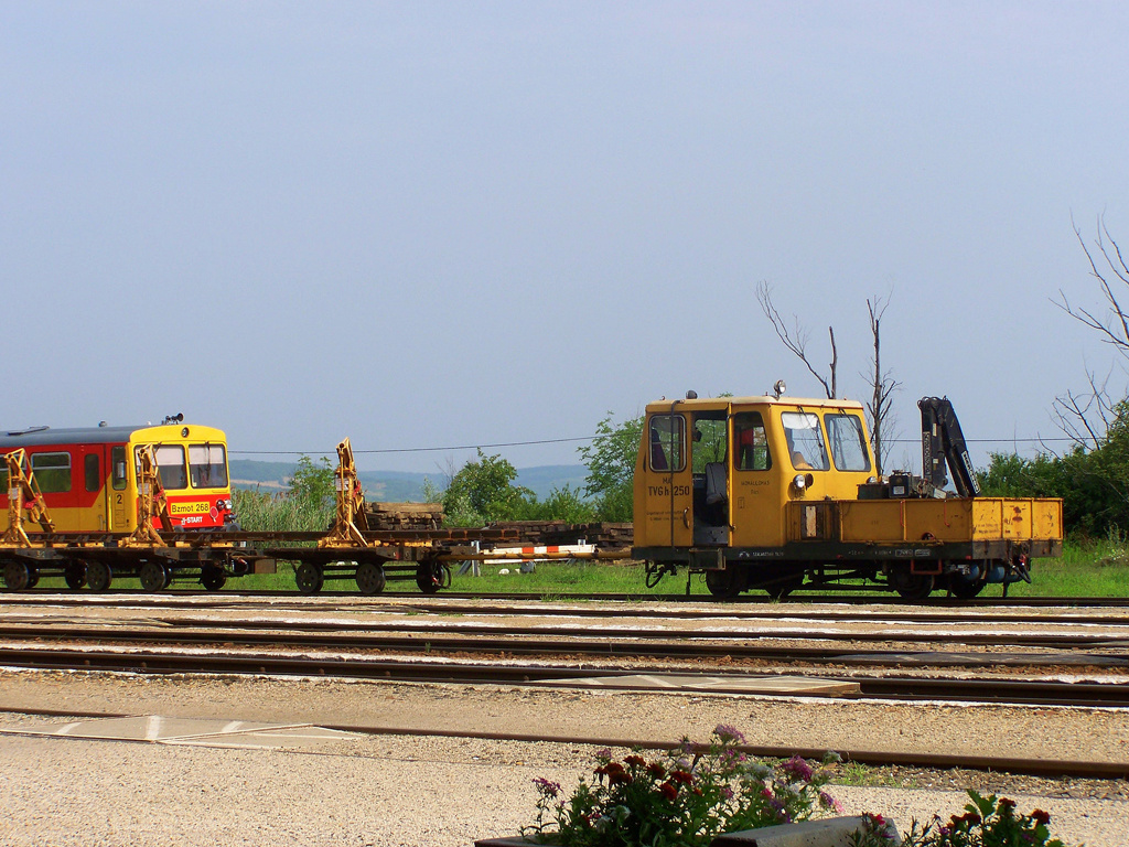 TVG-h - 1250 Bátaszék (2009.07.03).