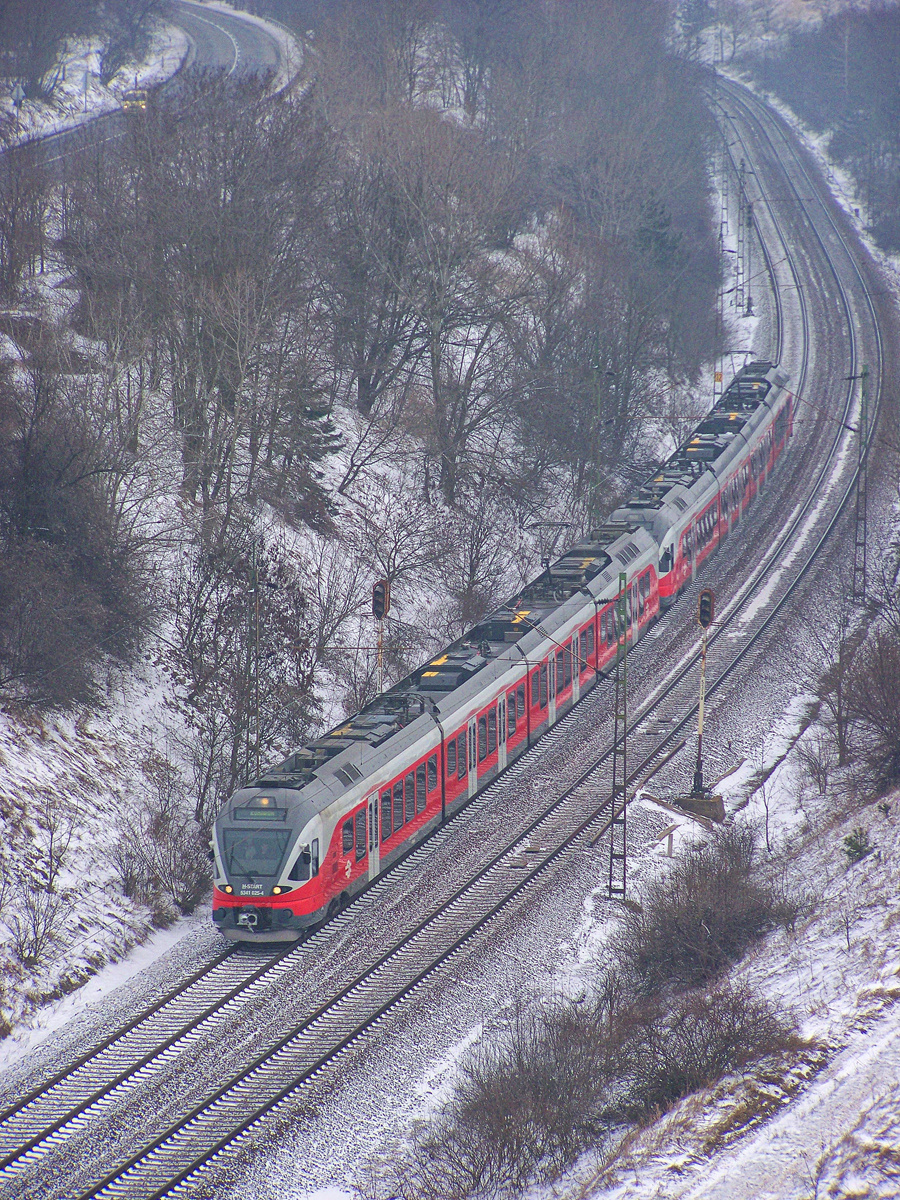 5341 025 - 4 Szár  (2010.12.30).