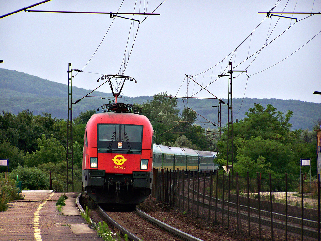 1116 063 - 7 Szár (2011.07.03)