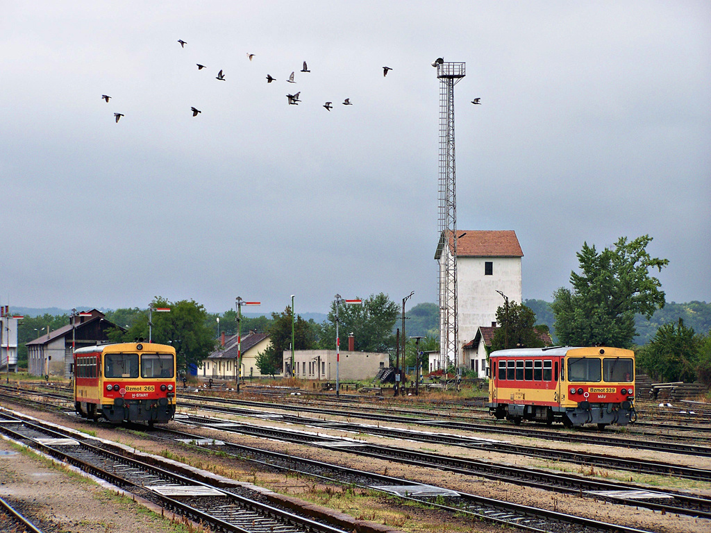 Bátaszék (2011.07.25).