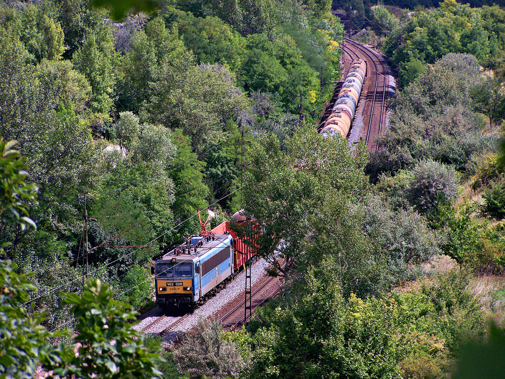 V63 - 028 Szár (2011.08.14)02