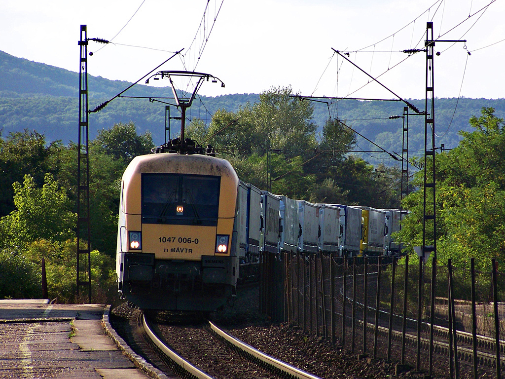 1047 006 - 0 Szár (2011.08.14)