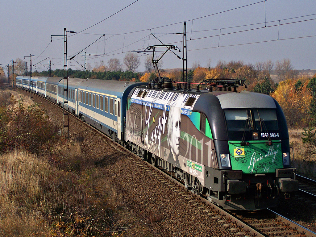 1047 503 - 6 Biatorbágy (2011.11.04)01