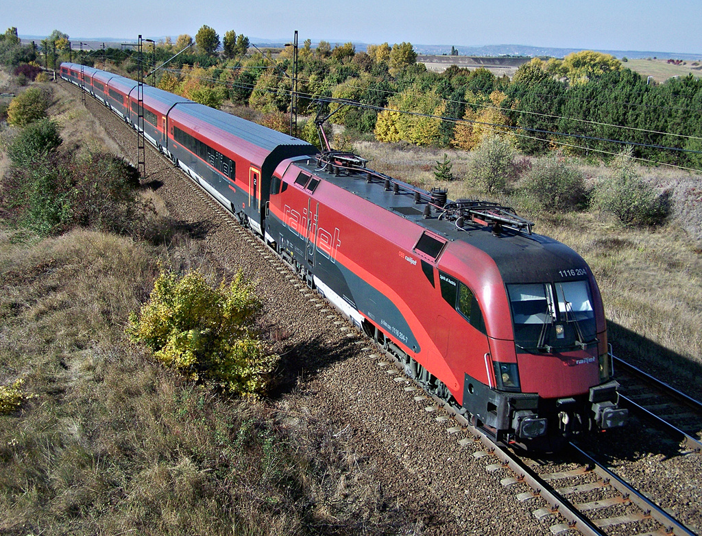 1116 204 - 7 Biatorbágy (2011.10.22)