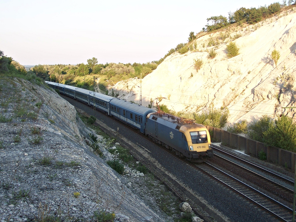 470 002 Szár (2012.06.17).