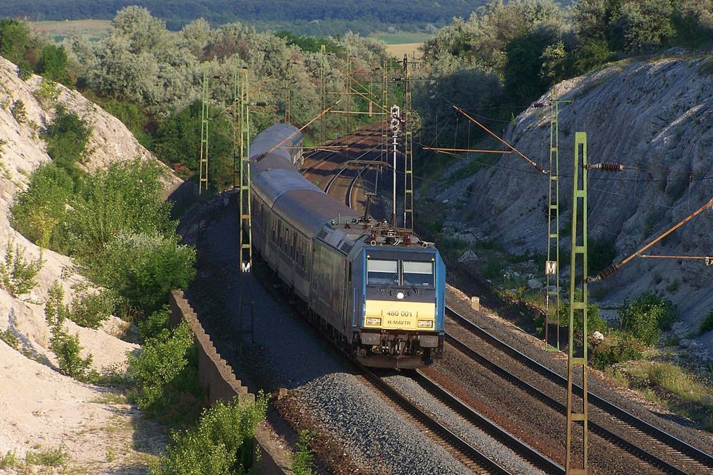 480 001 Szár (2012.06.18).