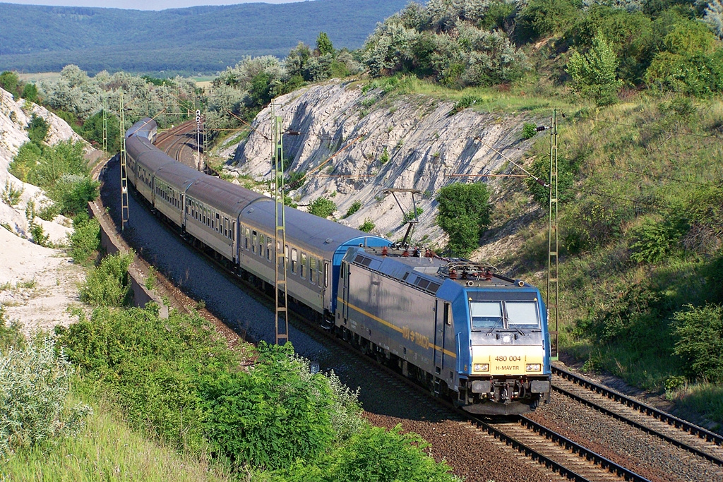 480 004 Szár (2012.06.18).