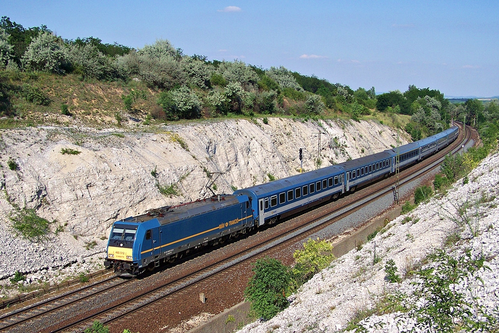 480 012 Szár (2012.06.17).