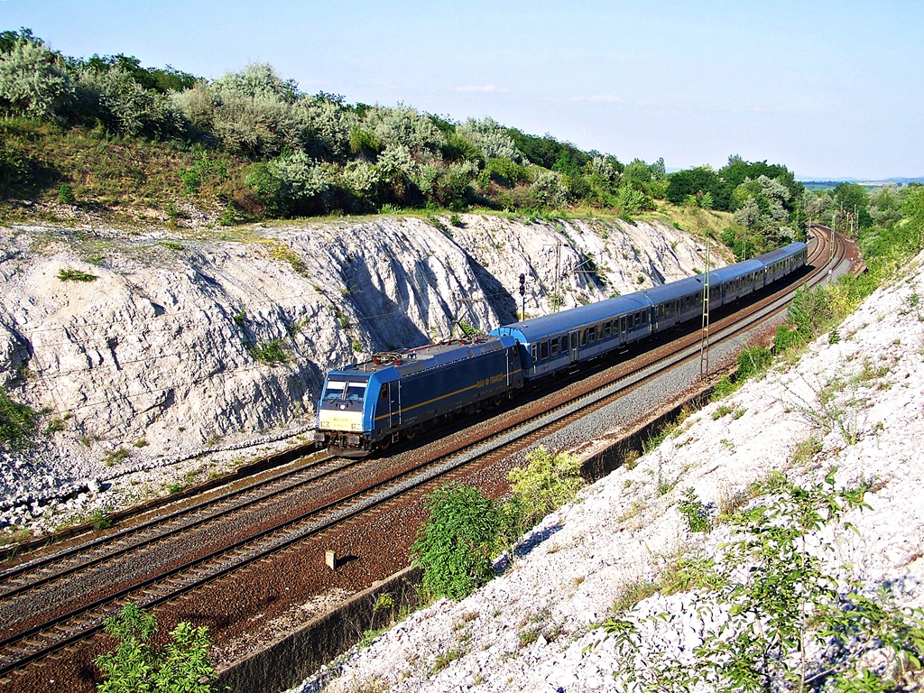 480 019 Szár (2012.06.17).