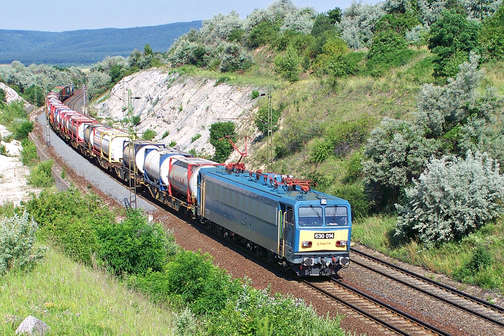 630 014 Szár (2012.06.18).