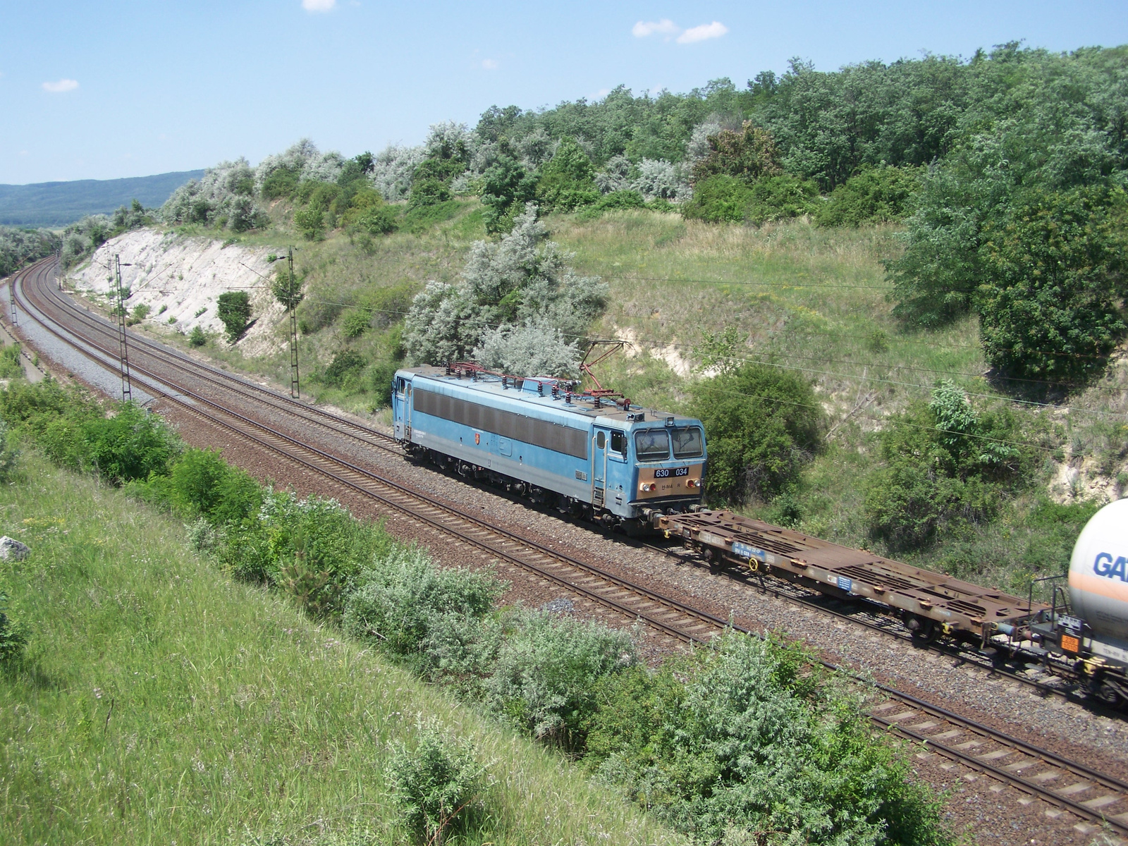 630 034 Szár (2012.06.18).