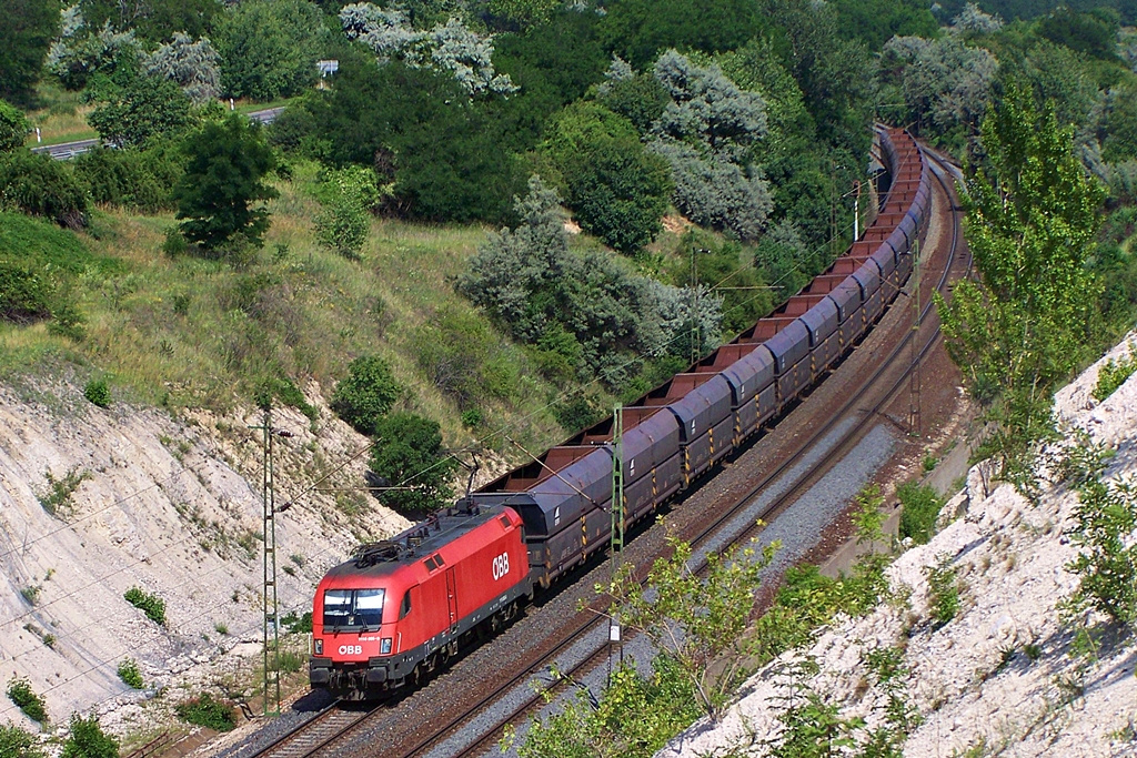 1116 005 - 8 Szár (2012.06.17).