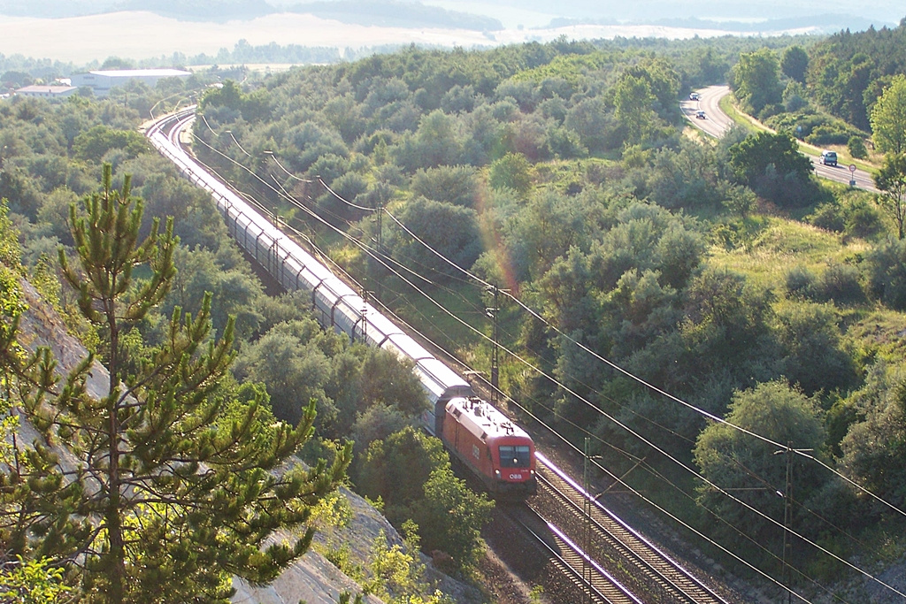 1116 006 - 6 Szár (2012.06.17).